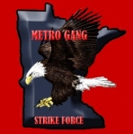 mgsf_logo