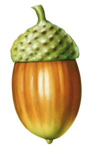 © Xavier - Fotolia.com