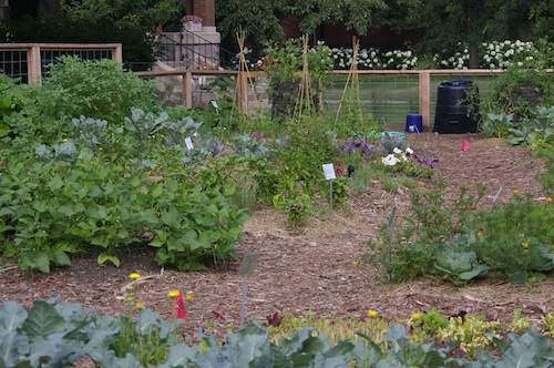 inside House of Hope garden