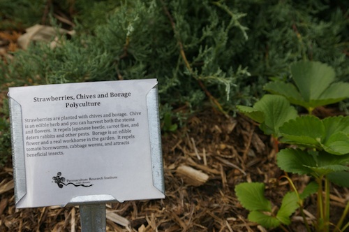 strawberry garden sign