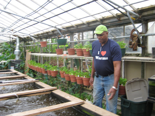 Will Allen in greenhouse