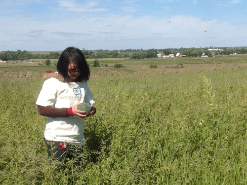 Yao Yang showed the open house tour group a small melon.