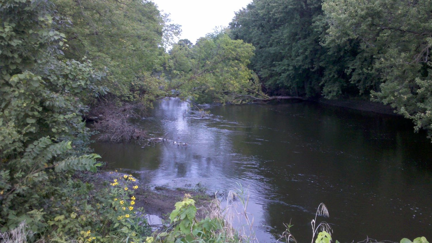 wild and scenic Crow River