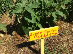 Green Garden Gobblers