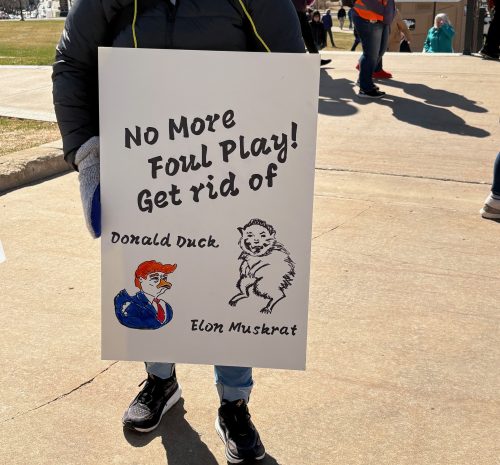 Protest sign: No More Foul Play! Get Rid of Donald Duck, Elon Muskrat