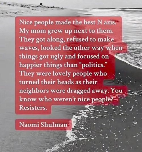 Sign quoting Naomi Schulman: Nice people made the best Nazis. My mom grew up next to them. They got along, refused to make waves, looked the other way when things got ugly, and focused unhappier things than "politics." They were lovely people who turned their heads as their neighbors were dragged away. You know who weren't nice people? Resisters.