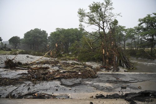 Flooded landscape, with downed trees